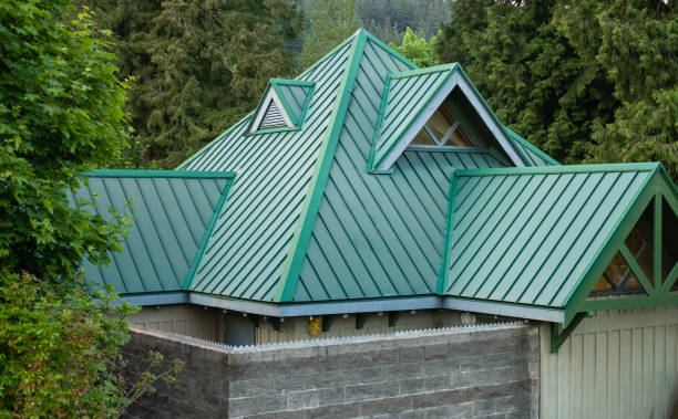 Best Metal Roofing Installation  in Wolf Lake, MI